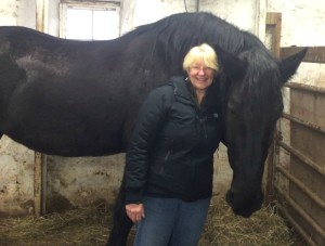 KeLe Horse